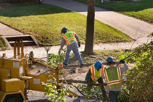 Lawn Irrigation Installation and Maintenance in Cordova, AK